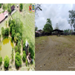 bienes del Bloque Bananero de las Autodefensas Ruta Noticias