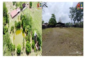 bienes del Bloque Bananero de las Autodefensas Ruta Noticias