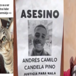 Andrés Camilo Candela Pino, asesinó a una gata Ruta Noticias