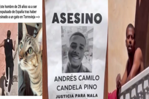 Andrés Camilo Candela Pino, asesinó a una gata Ruta Noticias