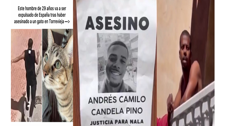 Andrés Camilo Candela Pino, asesinó a una gata Ruta Noticias