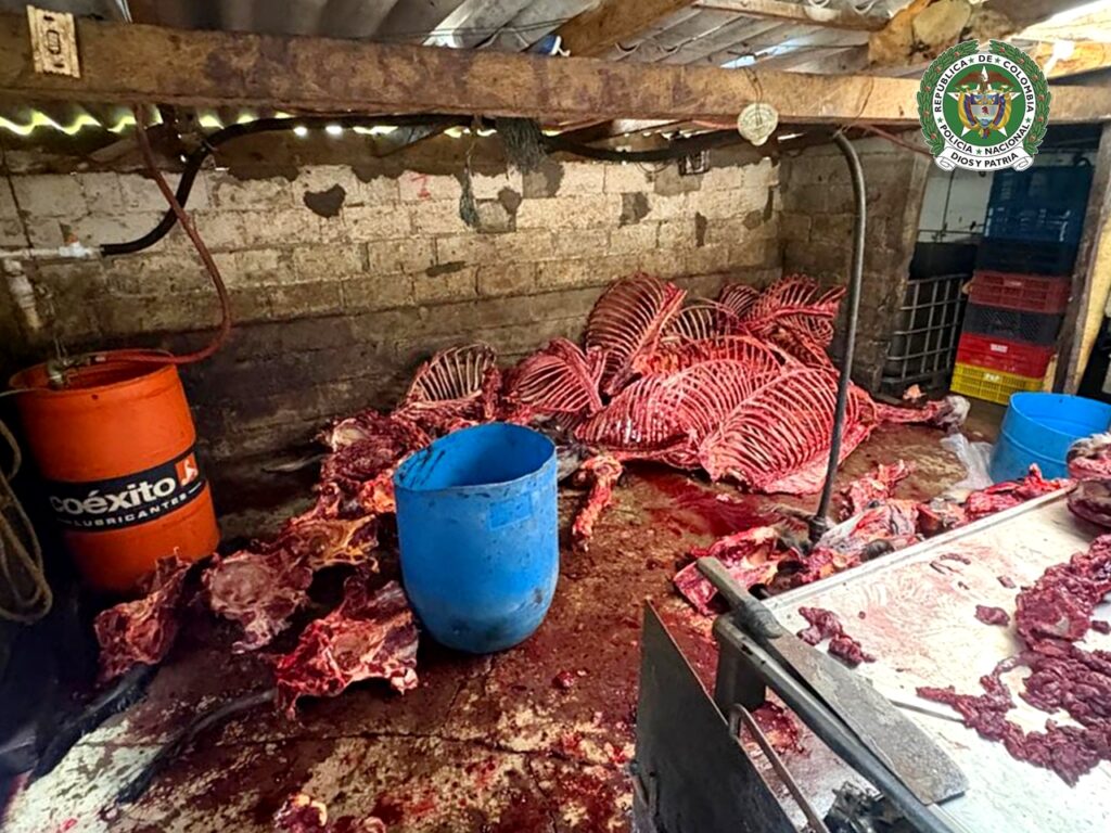 toneladas de carne en mal estado Ruta Noticias