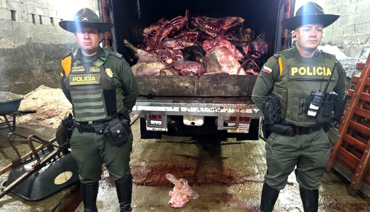 toneladas de carne en mal estado Ruta Noticias