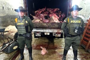 toneladas de carne en mal estado Ruta Noticias