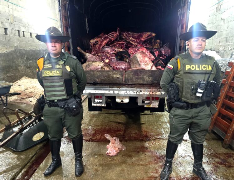 toneladas de carne en mal estado Ruta Noticias