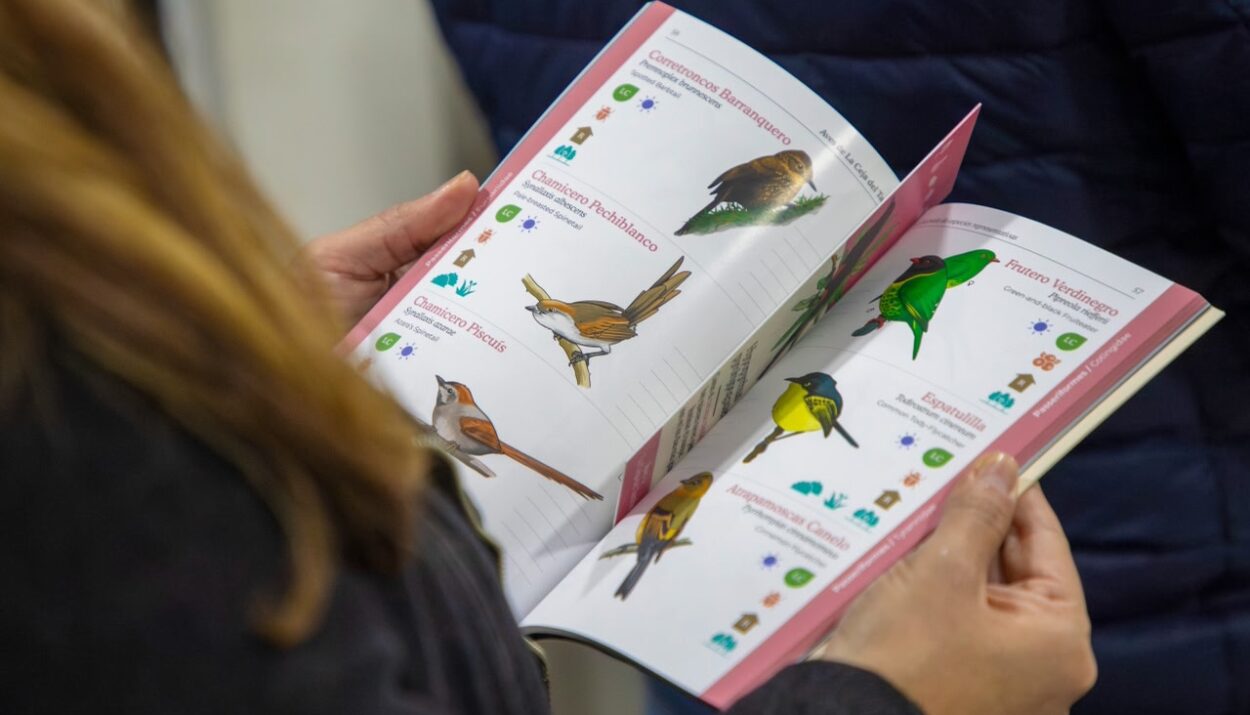Aves de la Ceja del Tambo Ruta Noticias