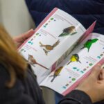 Aves de la Ceja del Tambo Ruta Noticias