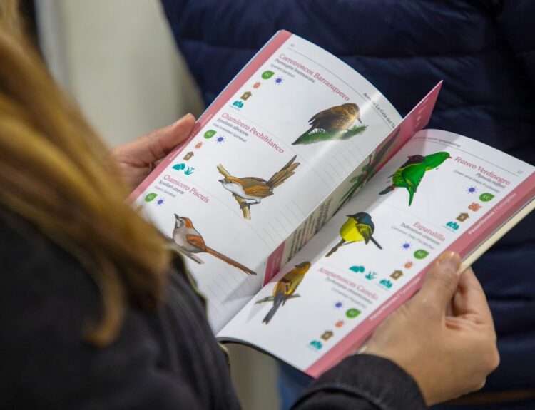 Aves de la Ceja del Tambo Ruta Noticias
