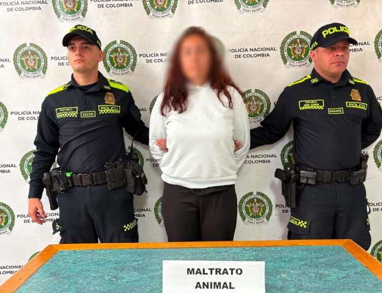 Capturada mujer por maltrato animal en San Antonio de Prado Ruta Noticias