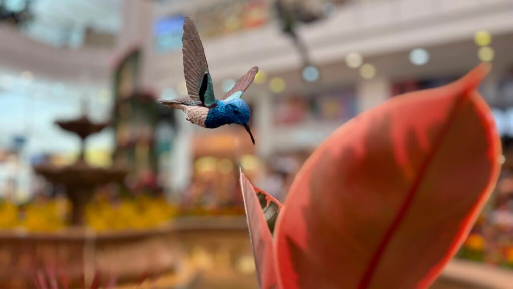 Colombia, país de las aves” El Tesoro Ruta Noticias