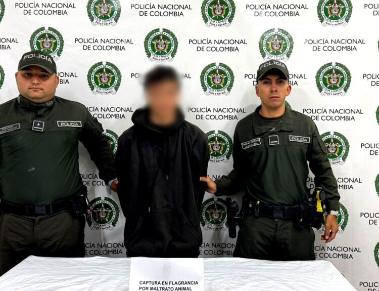 Capturaron a hombre que atacó con un destornillador a varios perros Ruta Noticias
