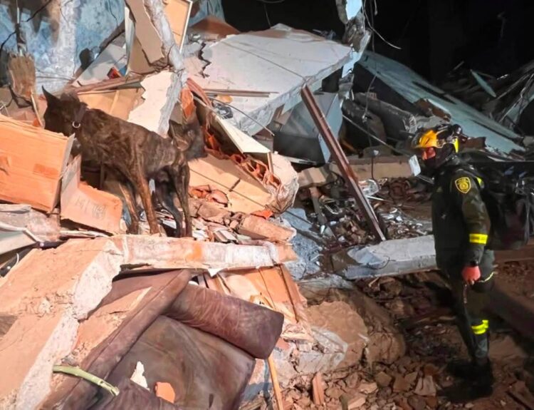 Terremoto en Colombia Perros rescate Ruta Noticias
