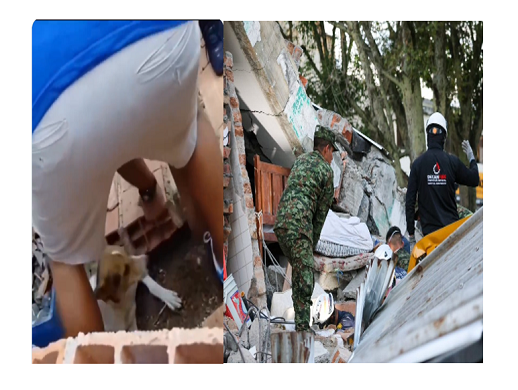 Terremoto en Colombia deja 181 muertos Ruta Noticias
