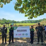 Grupo narcotraficante Los Del Dorado Ruta Noticias