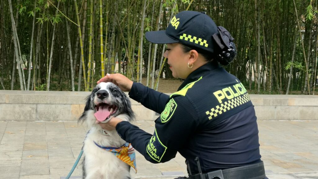 Mujer Policía en Medellín y Colombia Ruta Noticias