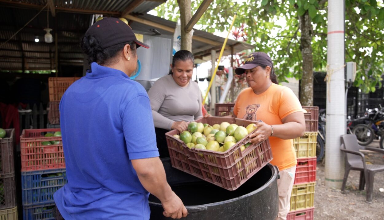 mujer rural Agroindustrias Interactuar Ruta Noticias