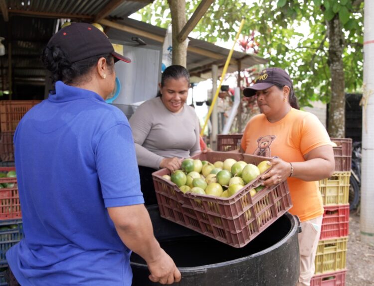 mujer rural Agroindustrias Interactuar Ruta Noticias