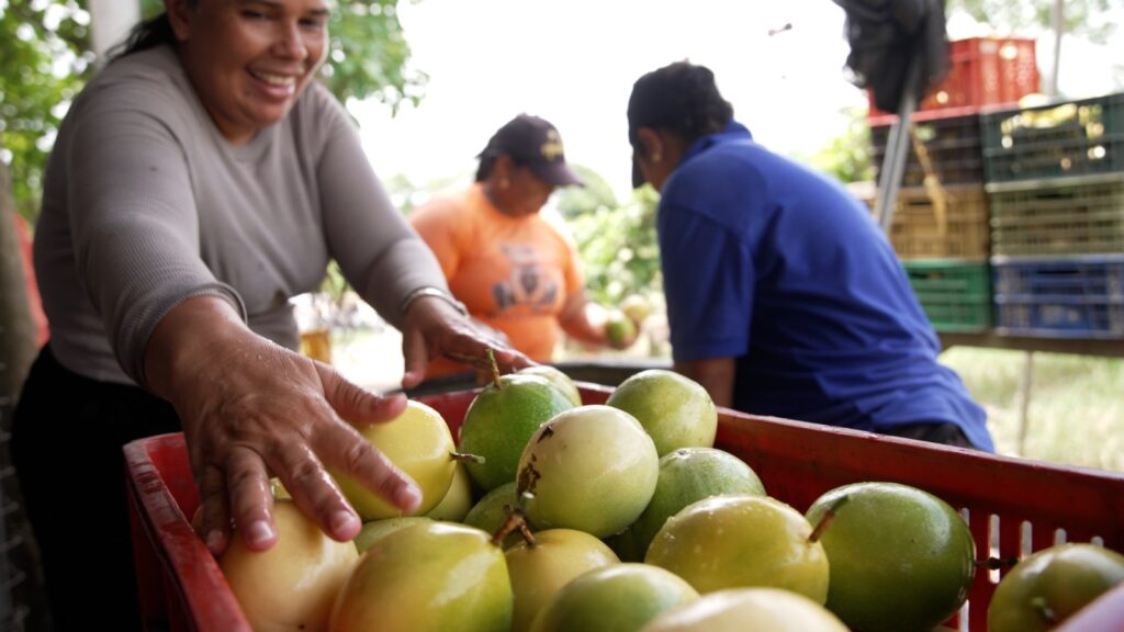 mujer rural Agroindustrias Interactuar Ruta Noticias
